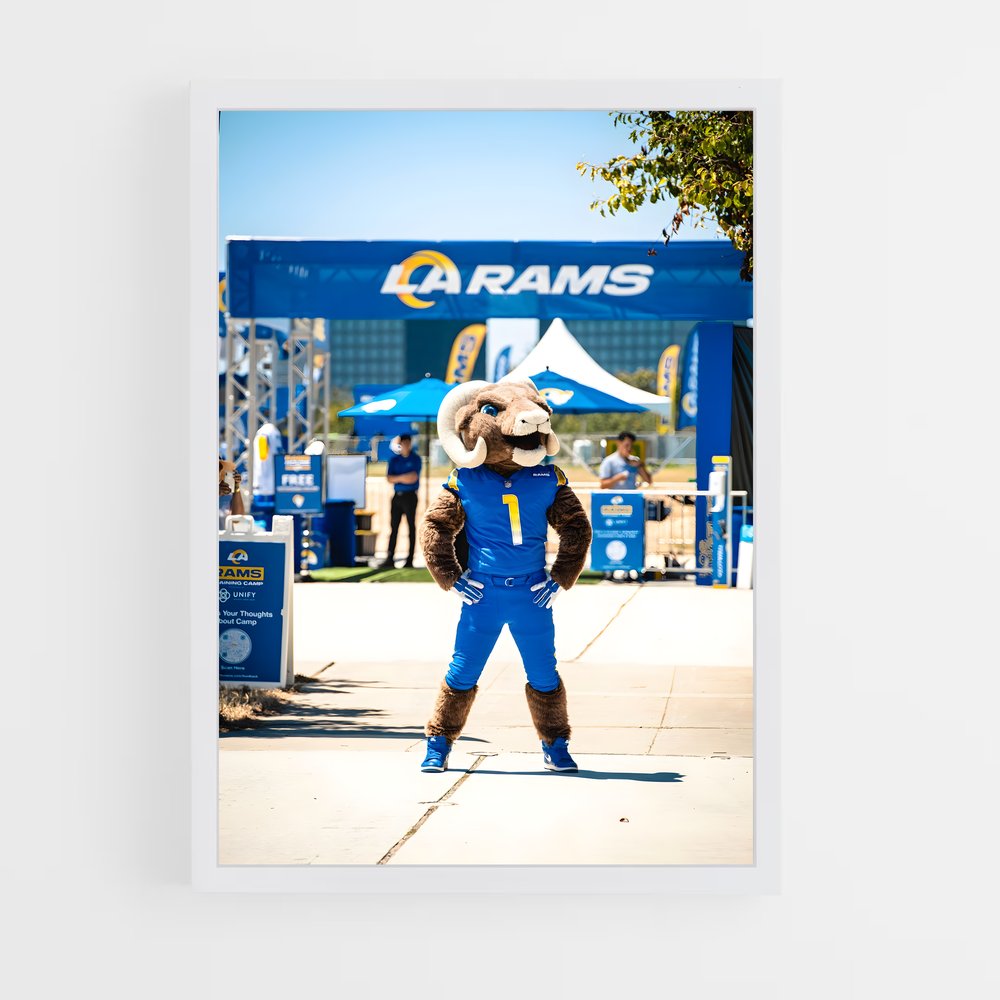 Poster Bear Down LA (vue 3)